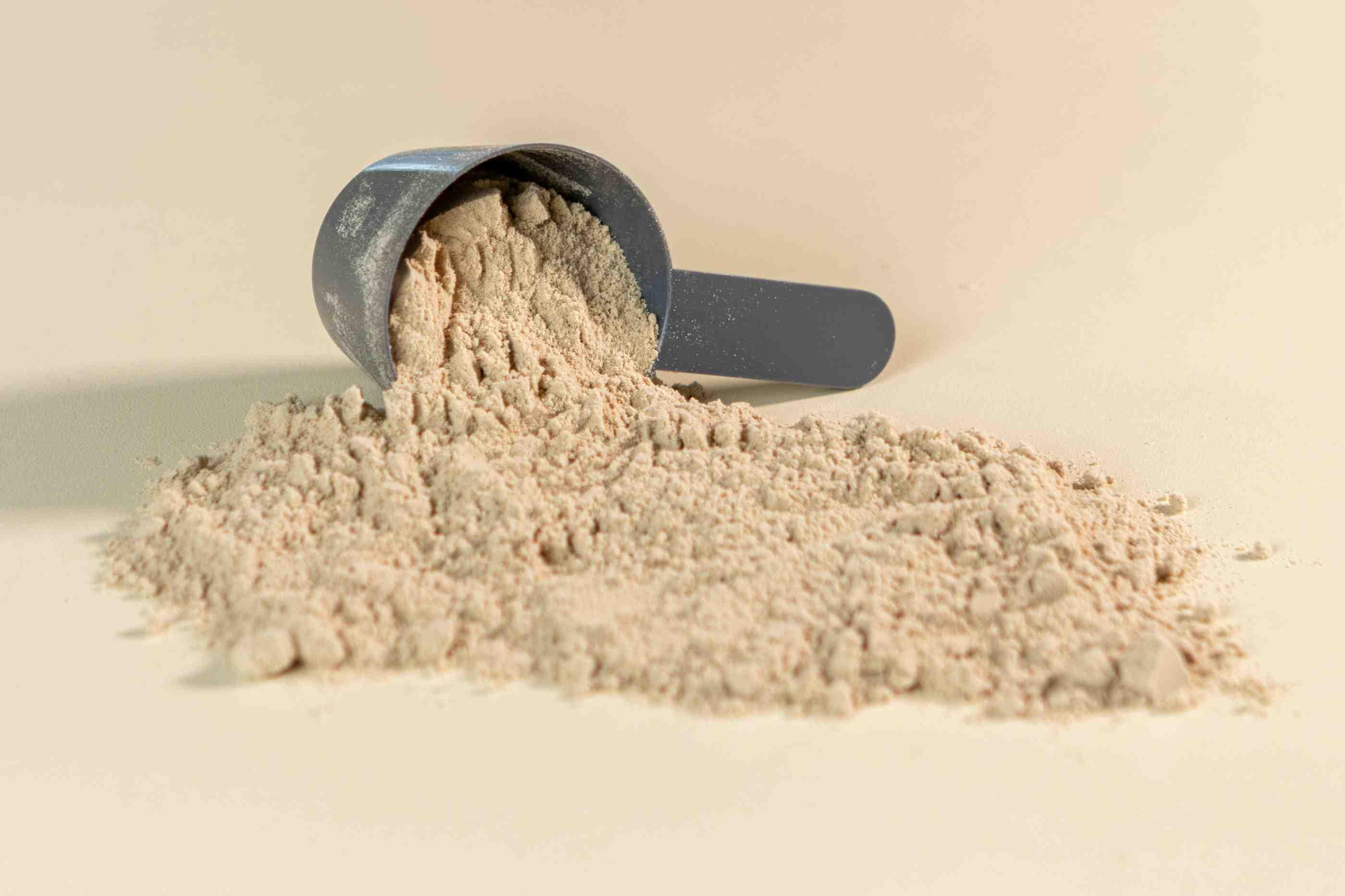A gray scooper is pictured with off-white colored protein powder flowing out of it.