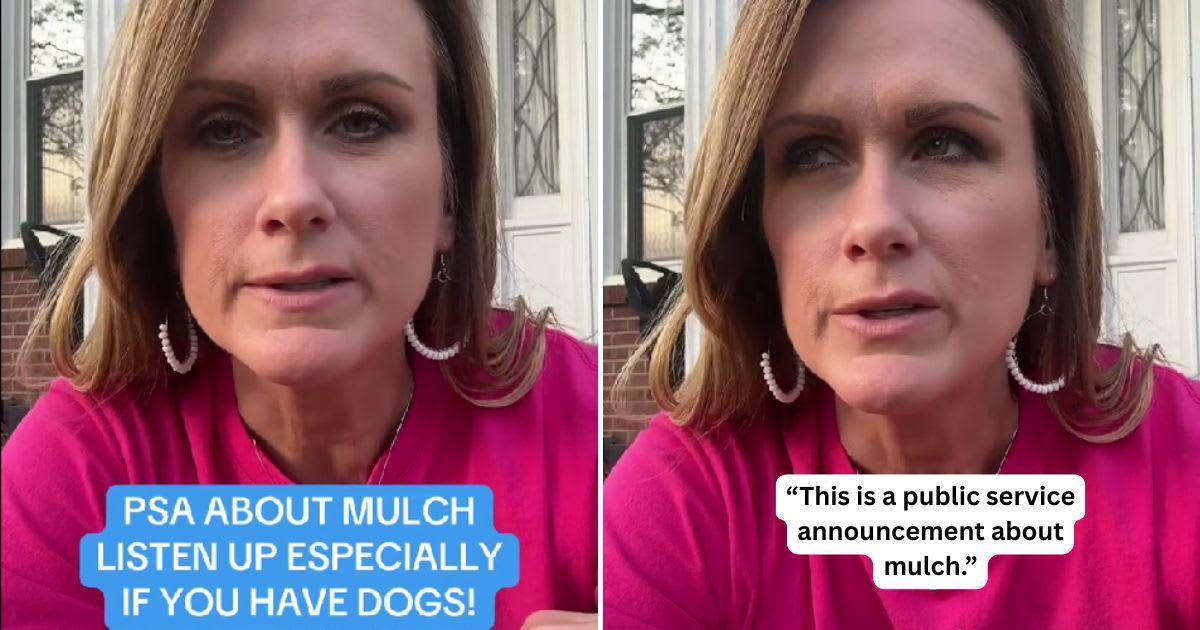 Homeowner issues a PSA about mulch used in yards. (Cover Image Source: TikTok | @smalltownalabamagirl)