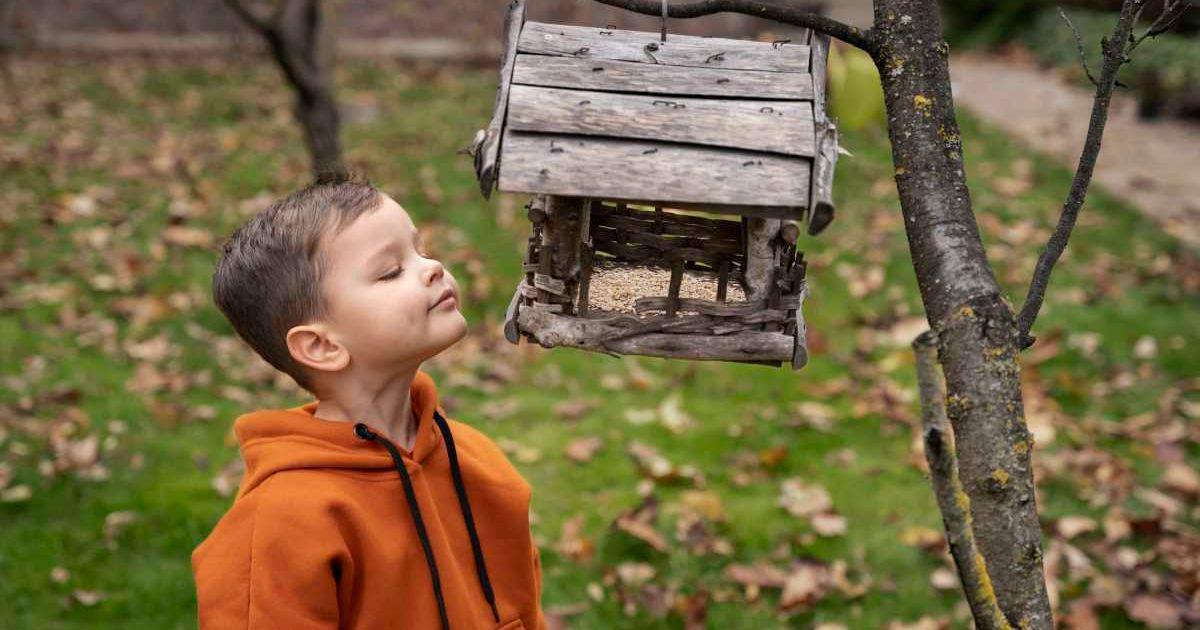 A little boy is looking inside a bird feeder hanging from a tree. (Representative Cover Image Source: Freepik | freepik)