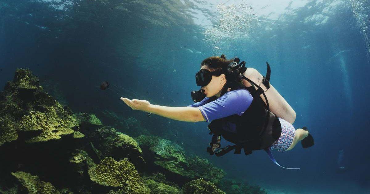 Female scuba diver chasing a black fish. (Representative Cover Image Source: Getty Images | Carlina Teteris)