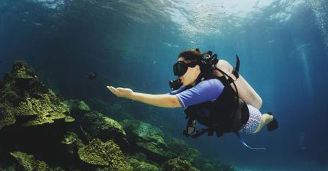 Female scuba diver chasing a black fish. (Representative Cover Image Source: Getty Images | Carlina Teteris)