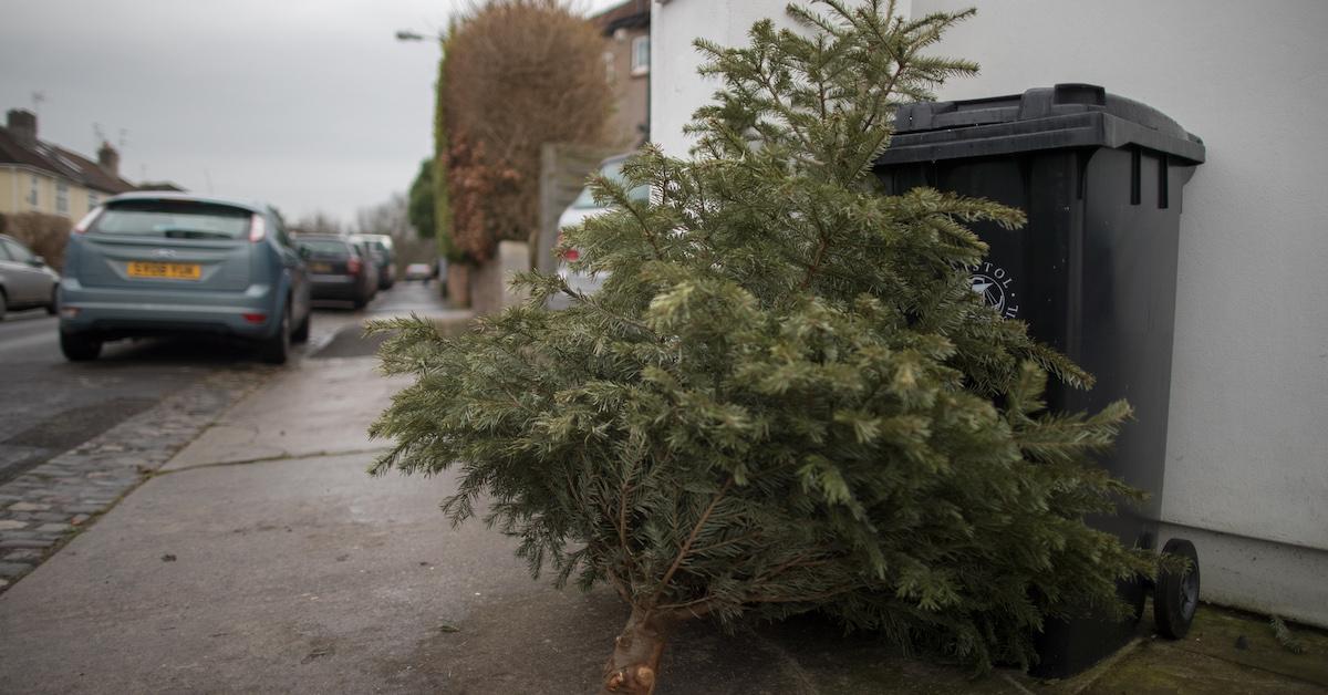 Christmas Tree Disposal Near Me 