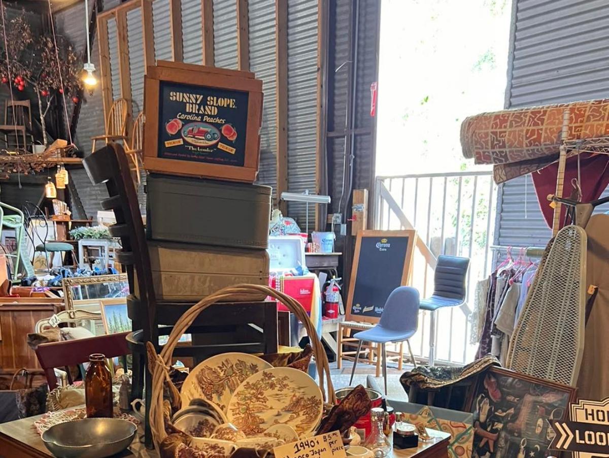 13 Best Thrift Stores In Tampa for Bargain-Seeking Buccaneers