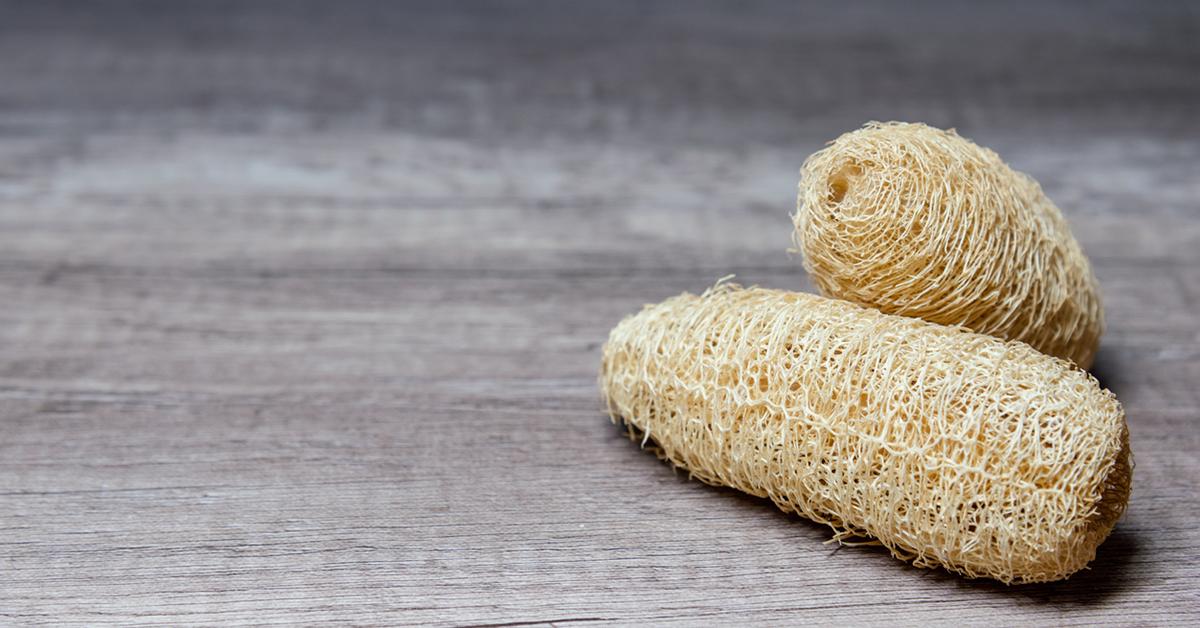 zero waste shower loofah