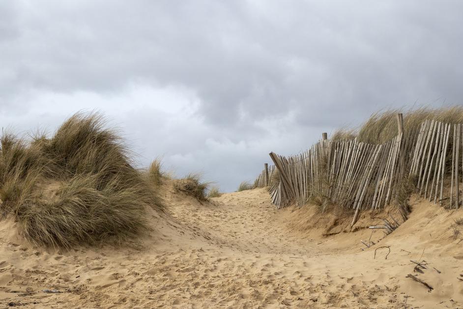 A stock photo of sand dunes from Walberswick Beach, Suffolk, England, United Kingdom