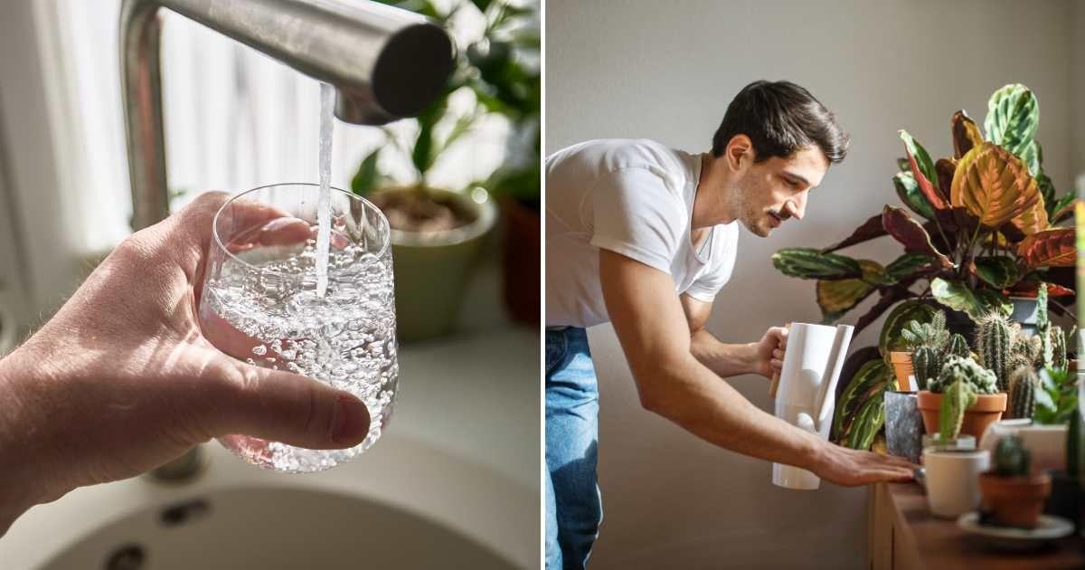 (L) A person filling a glass of water from the sink; (R) A young man watering plants at home. (Representative Cover Image Source: Getty Images | (L) Elena Zaretskaya, (R) Luis Alvarez)