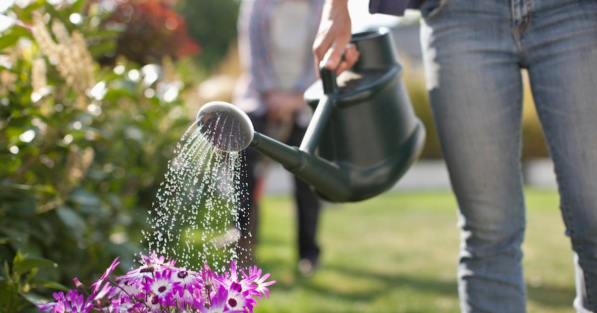 no till gardening how to get started