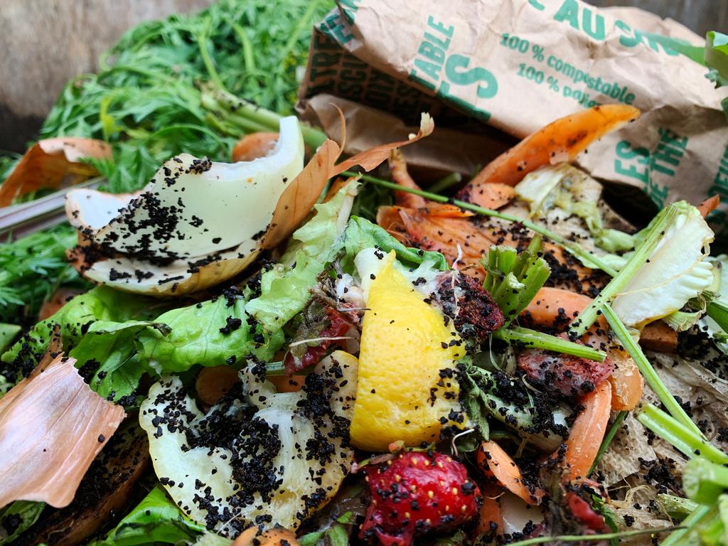 How to Make Your Own DIY Outdoor Compost Bin — A Beginner’s Guide