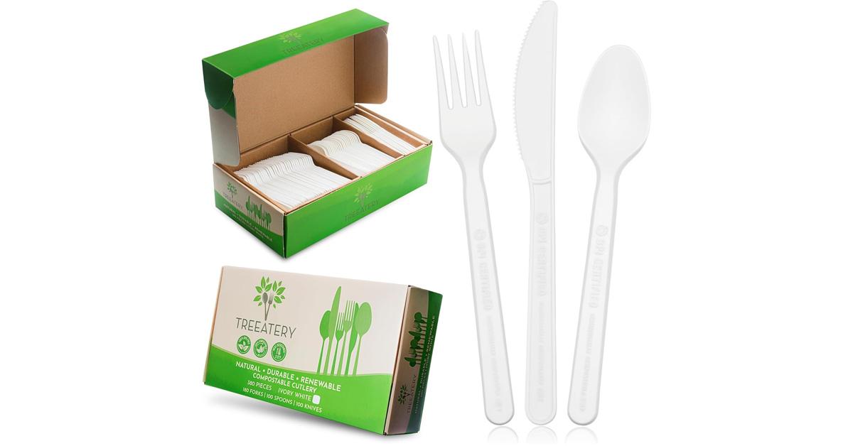 disposable silverware in boxes and a knife, fork, and spoon