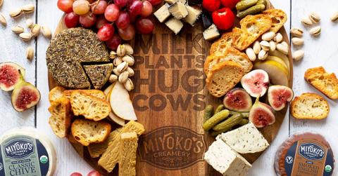 Miyoko's vegan cheese