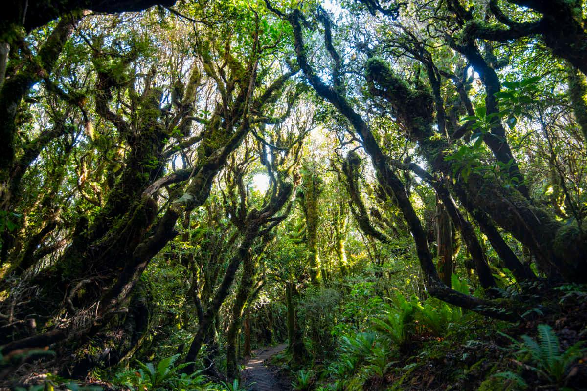 pn/f eb  bbfe abaeaac