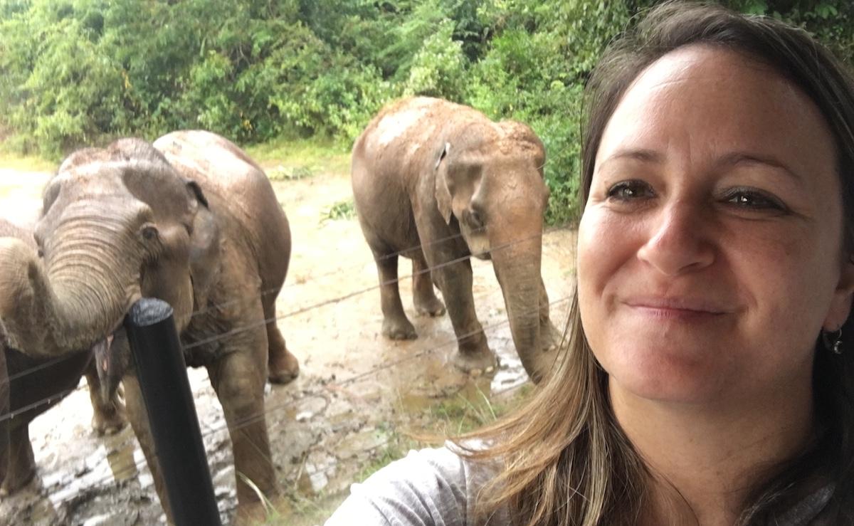 Lisa Apfelberg smiles with two elephants at a sanctuary