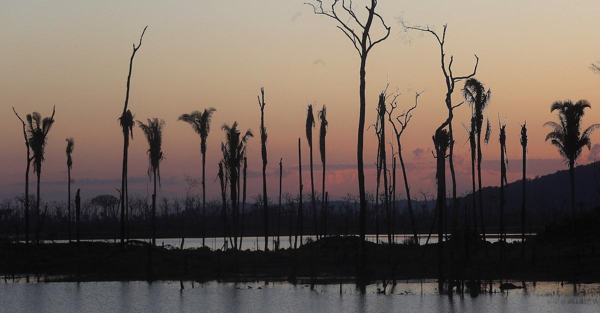 Brazil Deforestation