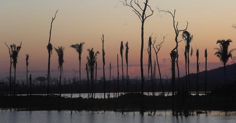 Brazil Deforestation