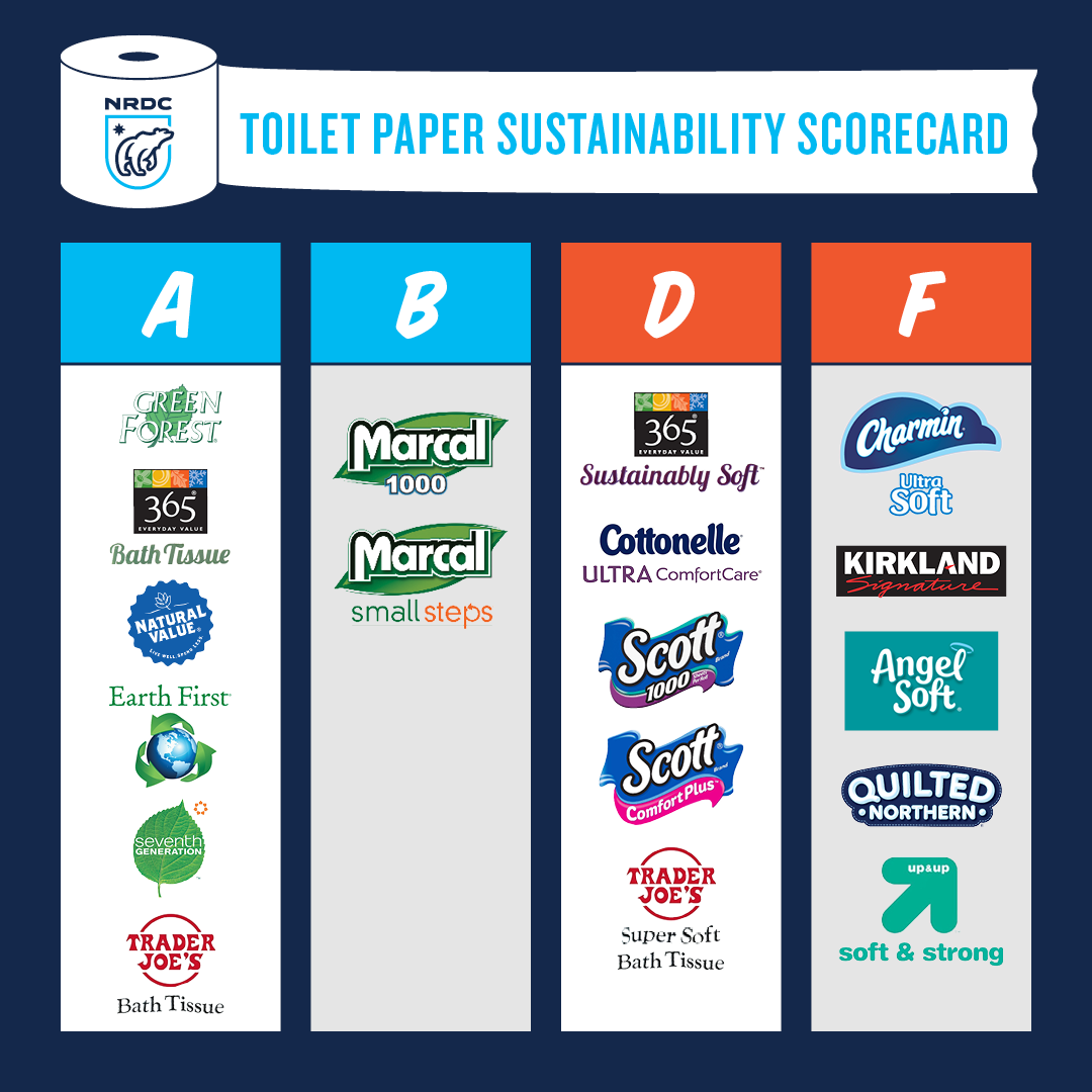 Which Toilet Paper Is the Most Sustainable, According to New Data