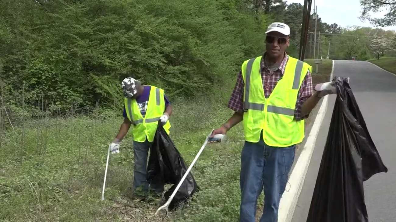 arkansas litter