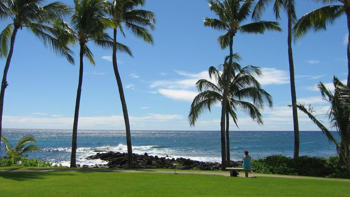 hawaii rehab