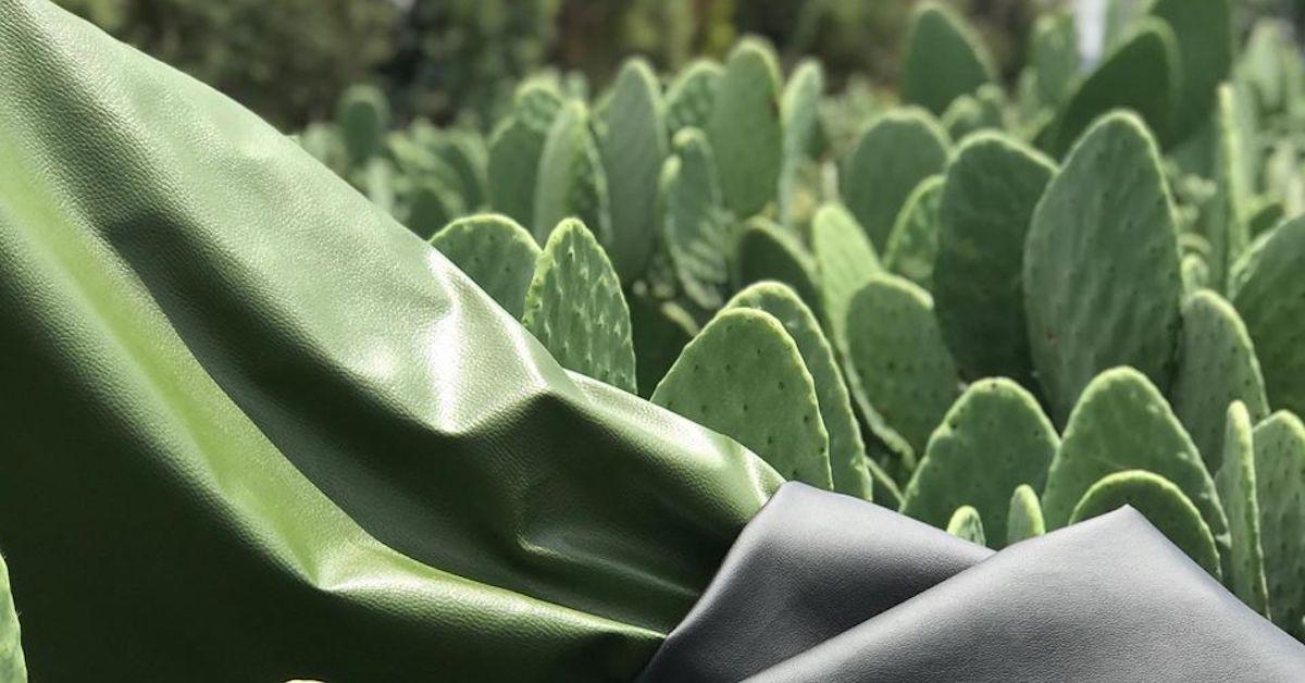 H&M Is Using Vegan Cactus Leather in New Eco-Friendly Collection