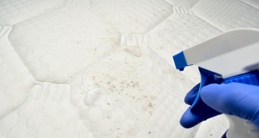 A solution is being sprayed onto a stain on a mattress. 