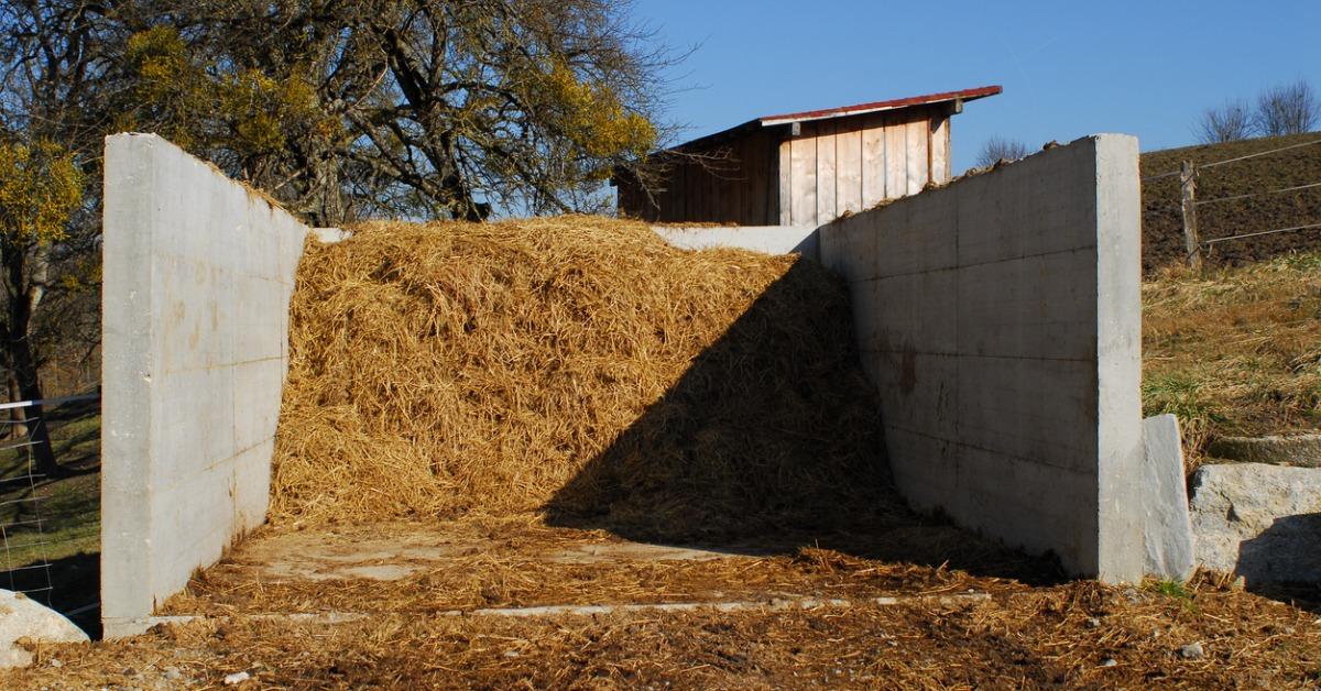 Image of compost