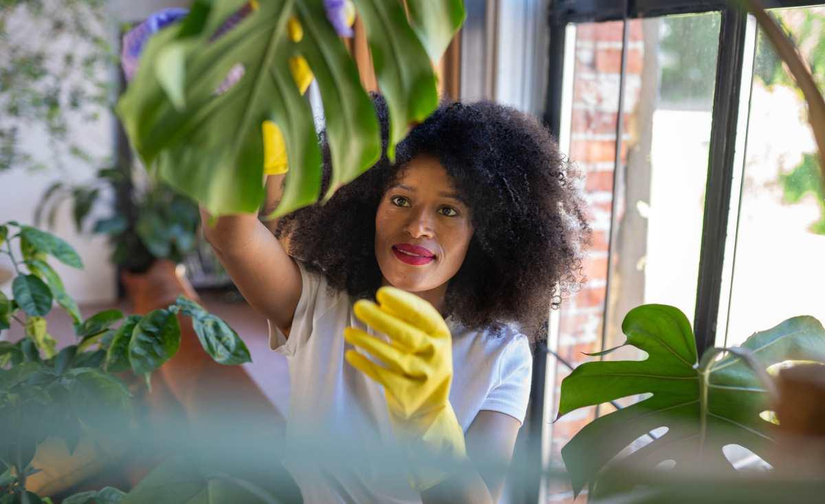 pn/ecff ace bc defba