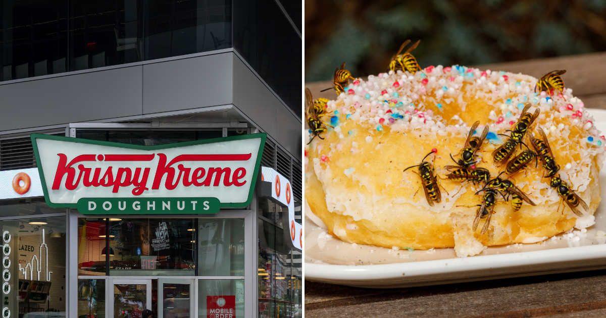 (L) Exterior of a Krispy Kreme Doughnuts store in Manhattan, NYC. (R) Bees swarming over a donut. (Representative Cover Image Source: Getty Images | (L) JHVE Photo, (R) Heckepics)