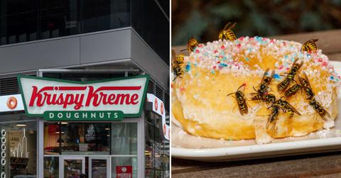 (L) Exterior of a Krispy Kreme Doughnuts store in Manhattan, NYC. (R) Bees swarming over a donut. (Representative Cover Image Source: Getty Images | (L) JHVE Photo, (R) Heckepics)