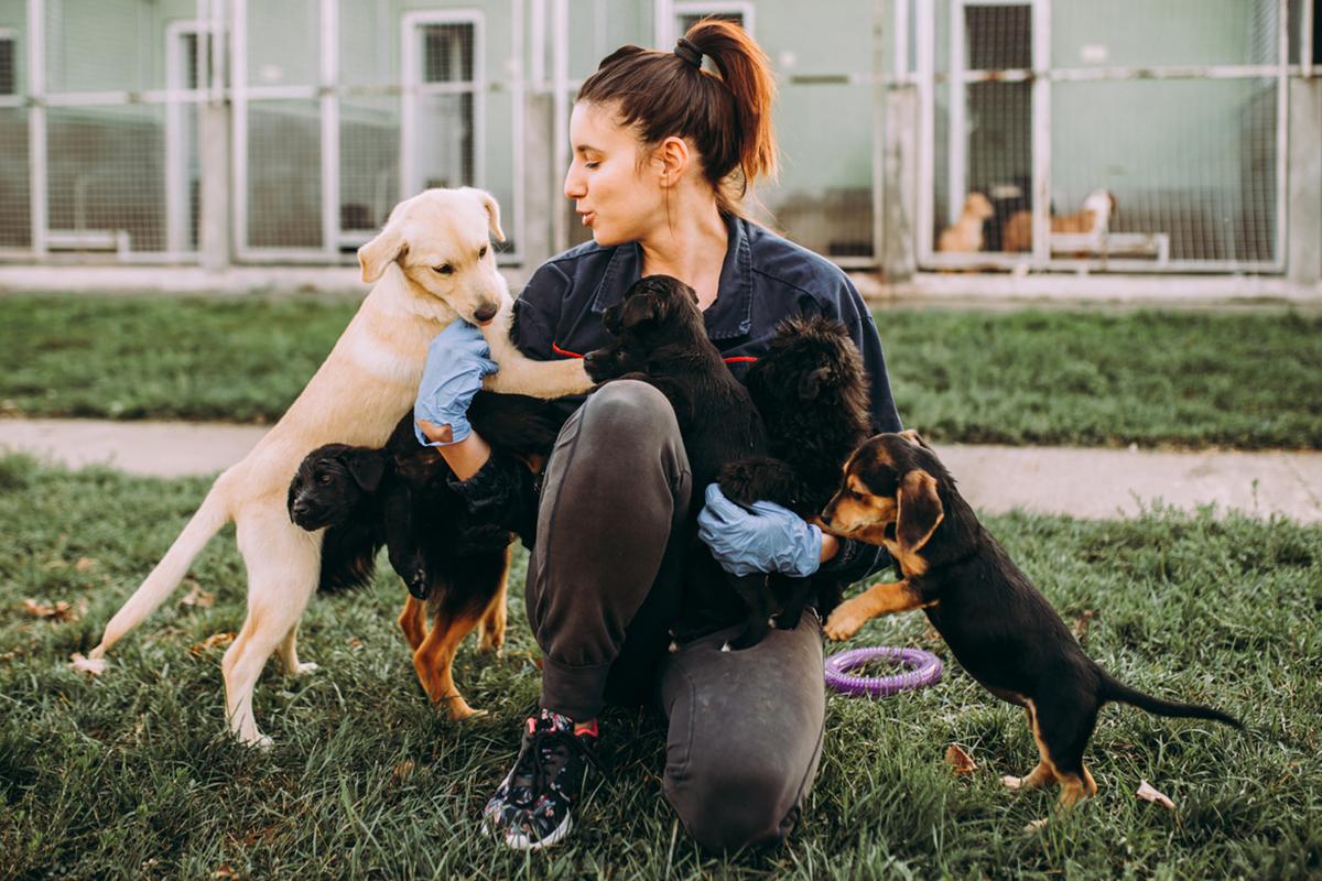 Dogs Getting Help Here’s How to Help Shelter Dogs — Even If You Can’t Adopt Right