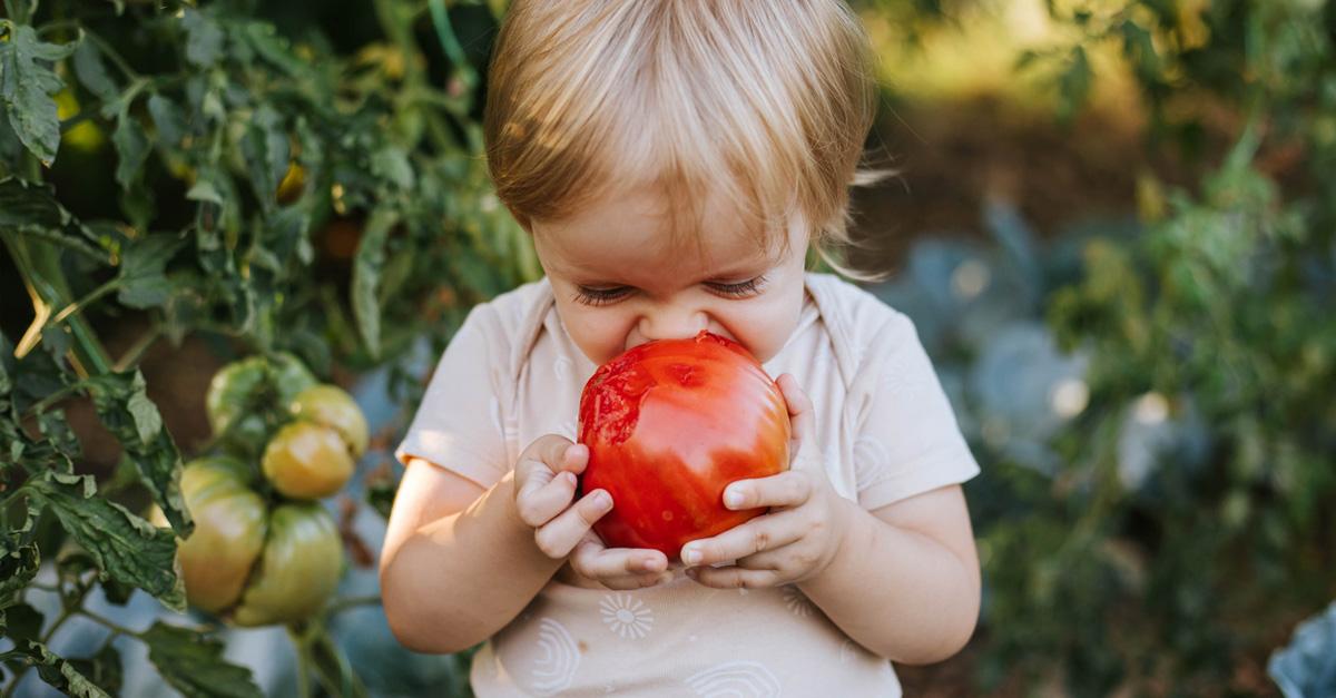 toddler eating an apple in the garden