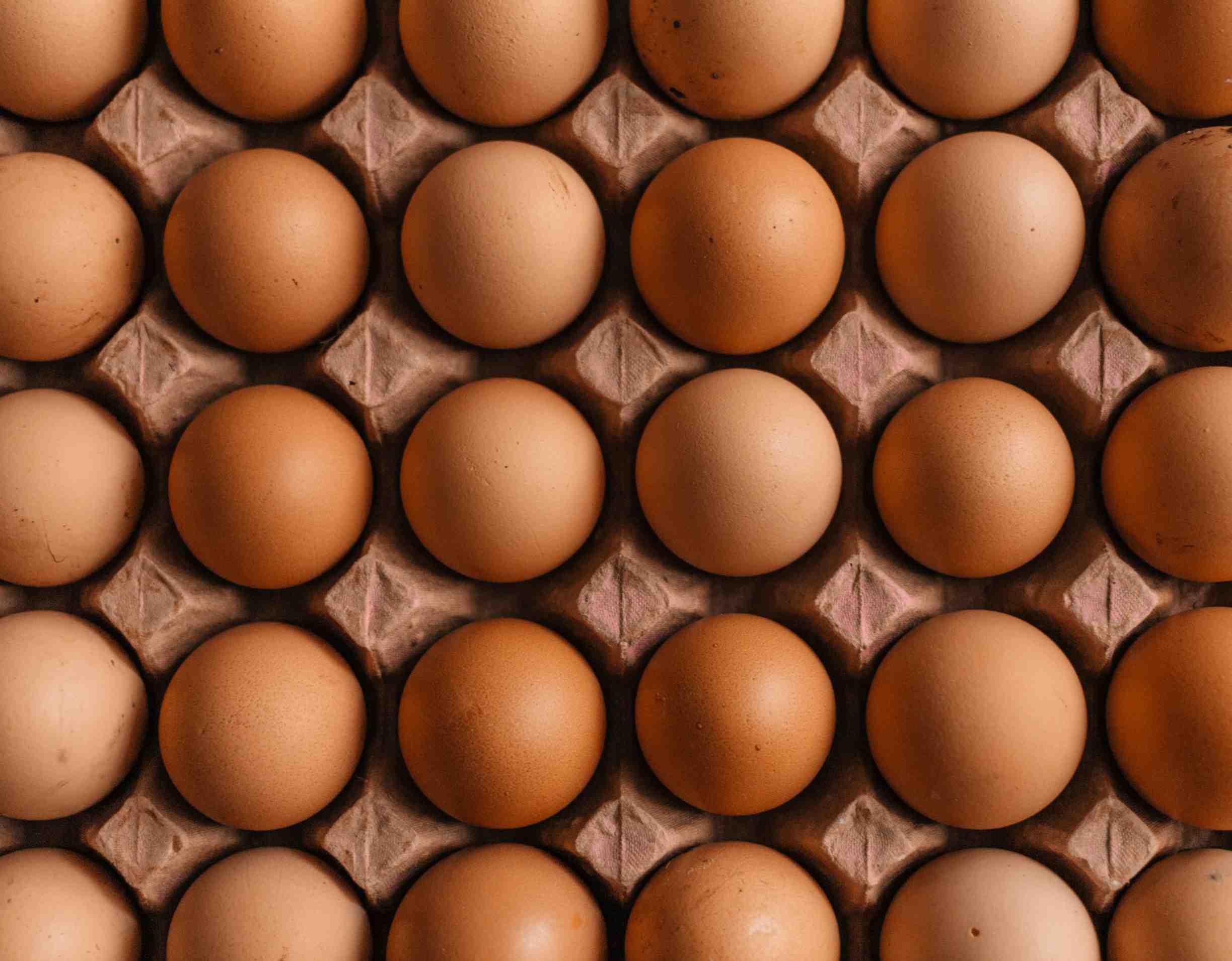 A carton of eggs is pictured.