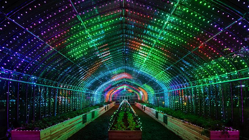 party digital vegetables greenhouse tokyo designboom