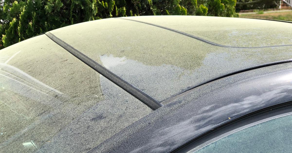 White Dust and Pollen on a Car