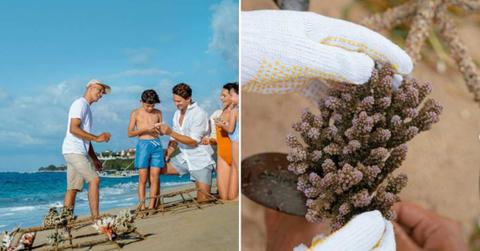 St. Regis Bali Resort establishes a programme to save the coral reefs near its shore. (Cover Image Source: Instagram | @stregisbali)