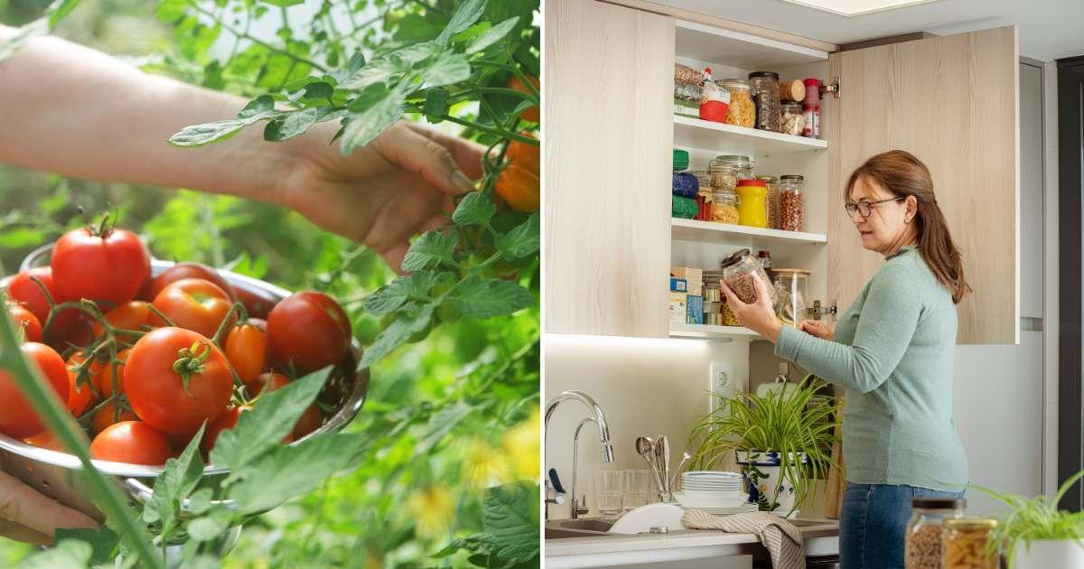 (L) A gardener picking tomatoes from plants; (R) A woman in her kitchen pantry. (Representative Cover Image Source: Getty Images | (L)Peter Cade; (R) fca foto digital)