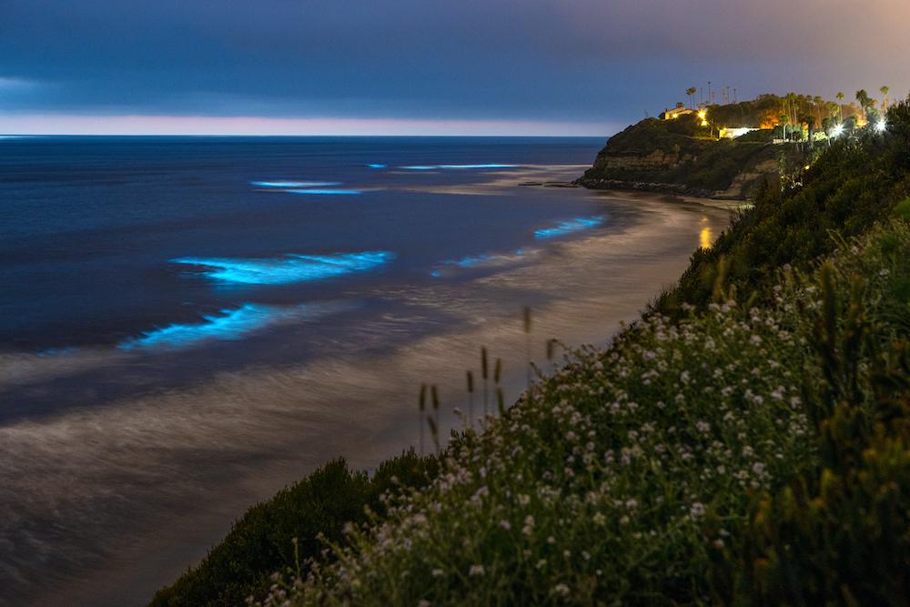 Bioluminescent Waves Light up Southern California's Coastline