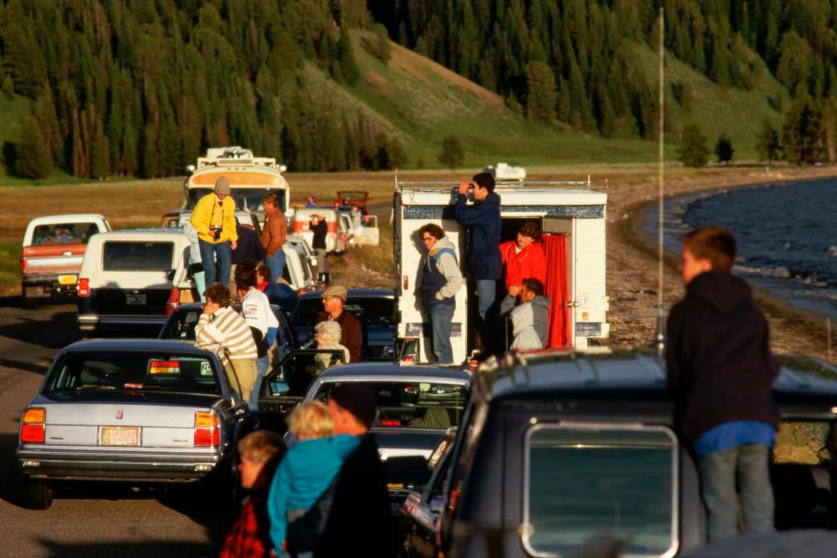 pn/bdf dd e d caaaaeca