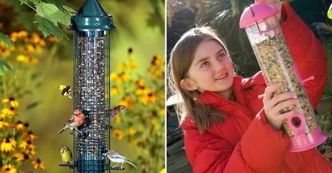 (L) Brome's squirrel-buster bird feeder (Cover Image Source: Amazon) | (R) Girl hanging a seed-filled bird feeder (Representative Cover Image Source: Getty Images | David Burton)