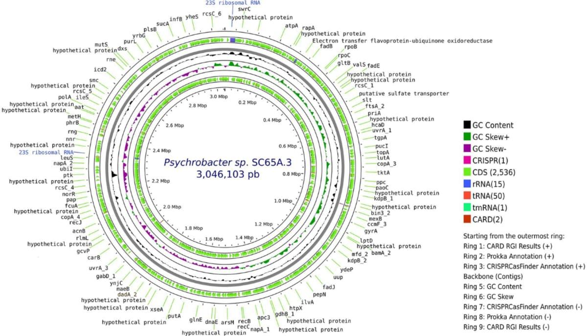 pn/cfe fda  ce aadeabe