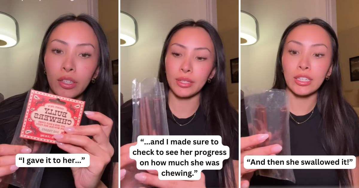 Woman urges dog parents to keep away from bully chewers after her dog swallowed one whole (Cover Image Source: TikTok | @reecelopez)
