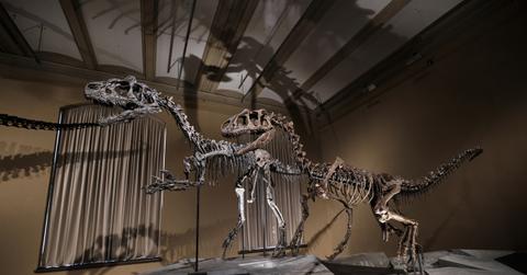 Scary Extinct Animals