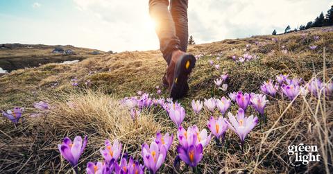 Earth Day Gift Guides