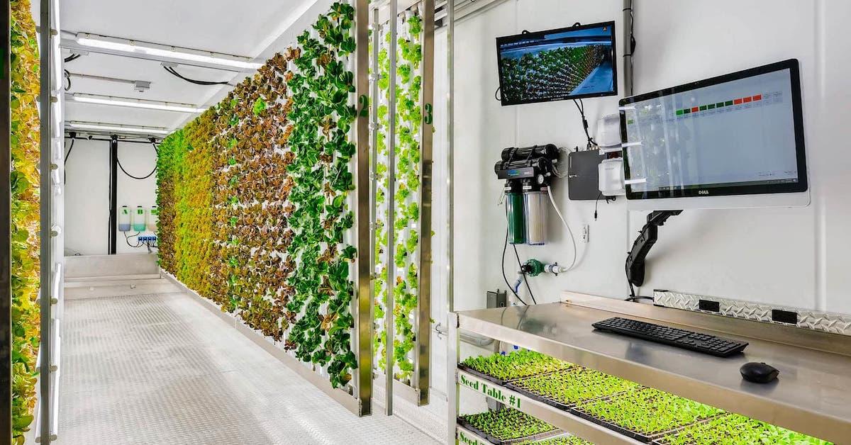 This Company Is Using Hydroponic Technology to Increase Food Security