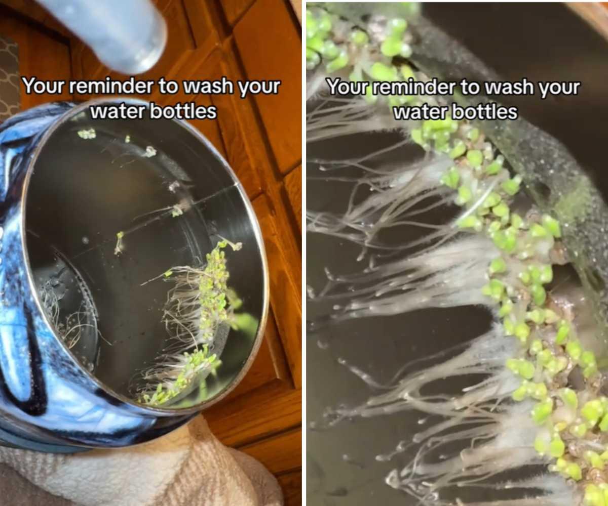 pn/eeb faf cb a abacac