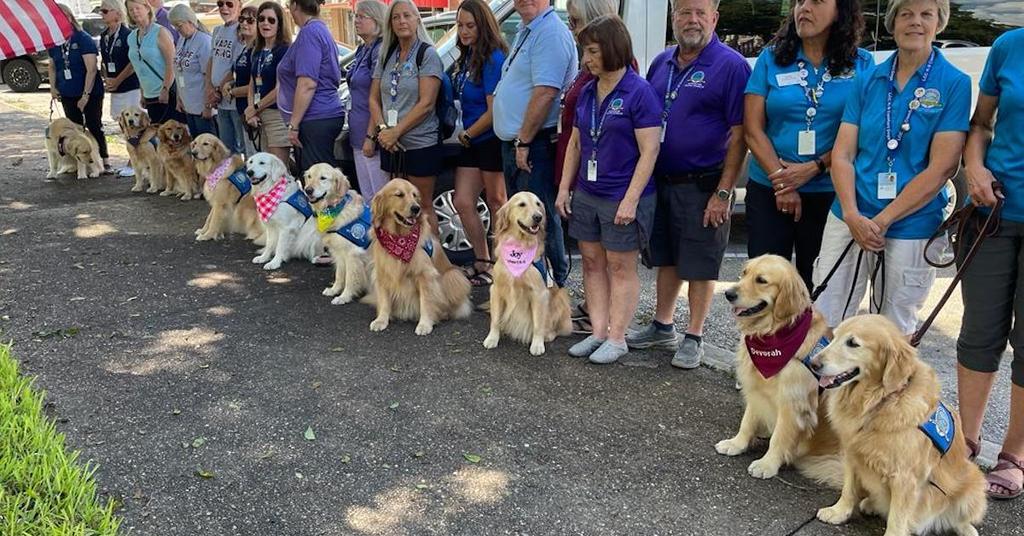Comfort Dogs in Uvalde Schools Are Helping Support Students After Shooting