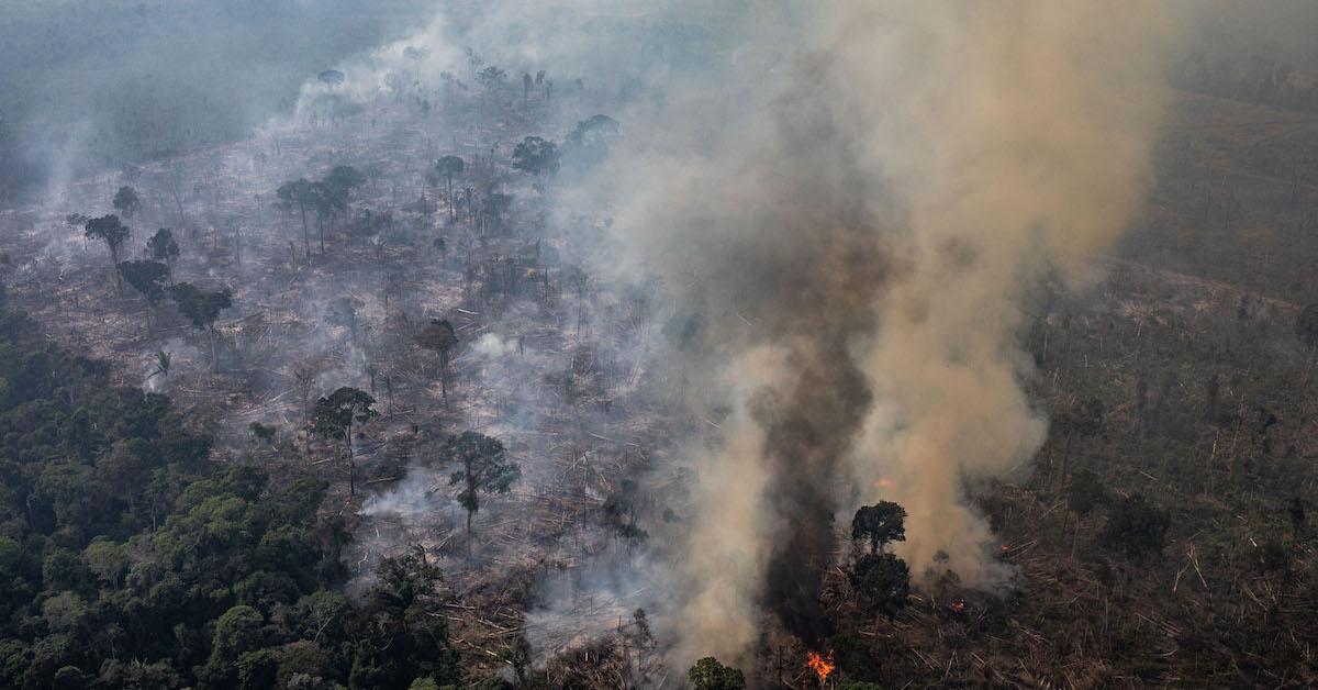 Amazon Rainforest Fires On Course To Repeat Last Year S