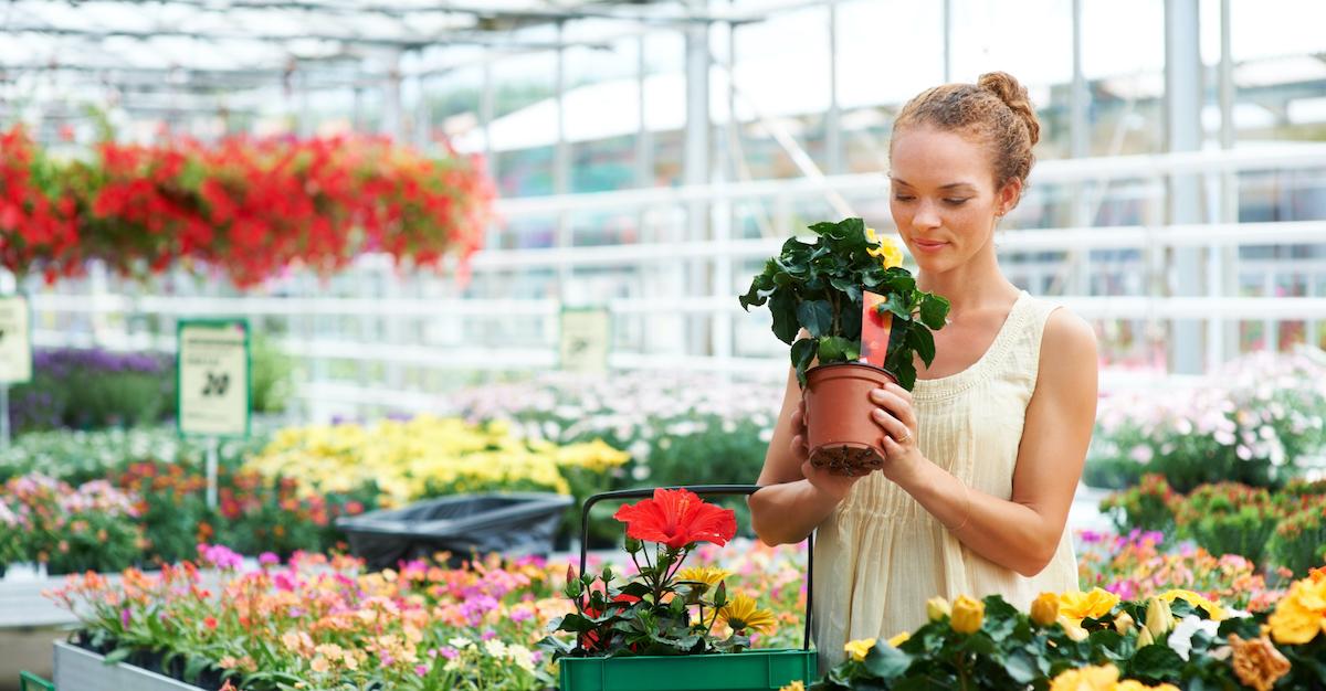 Woman picking up a small pot of flowers in a garden center. 