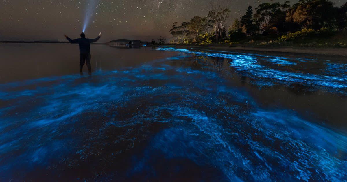 Shimmering patch in an ocean (Representative Cover Image Source: Getty Images | Chasing Light - Photography by James Stone james-stone.com)