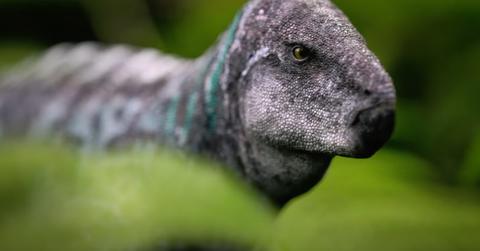 A scene from 'Prehistoric Planet'