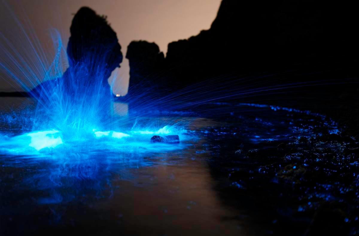 pn/be ec ef f dfbbdb