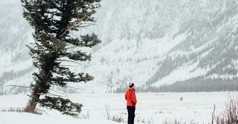 A person observing the scenic winter landscape of Yellowstone National Park. (Representative Cover Image Source: Getty Images | ferrantraite)